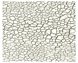 Пленка (1542/00000008042) Freedecor с изображен. для светлых поверхностей