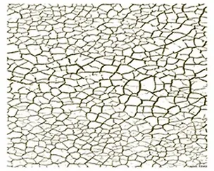 Пленка (1542/00000008042) Freedecor с изображен. для светлых поверхностей 2300597