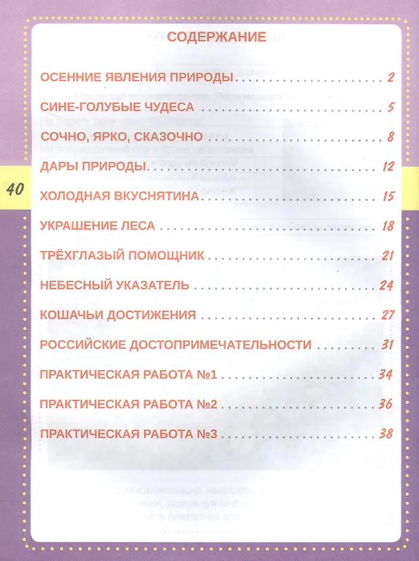Книга Смысловое чтение. Тренажёр для школьников. 2 кл. (Планета) (издание 2021) (Светлана Шейкина) — 2