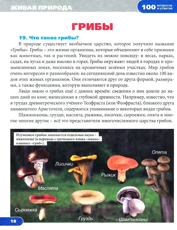 Книга Живая природа. Энциклопедия (Людмила Соколова) — 2