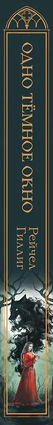 Книга Одно темное окно (Рейчел Гиллиг) — 4