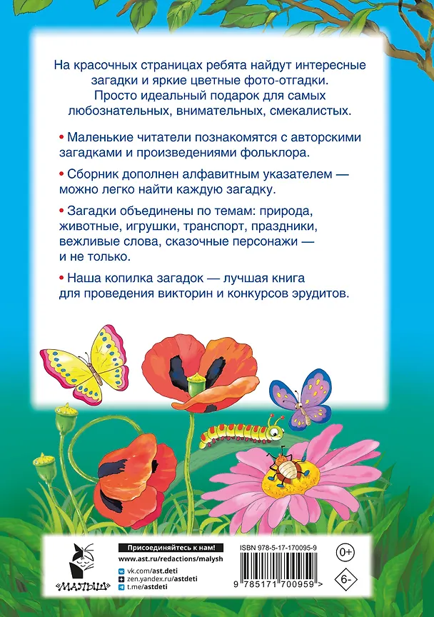 Книга 1001 загадка. 2-е издание (Катерина Добрая) — 2