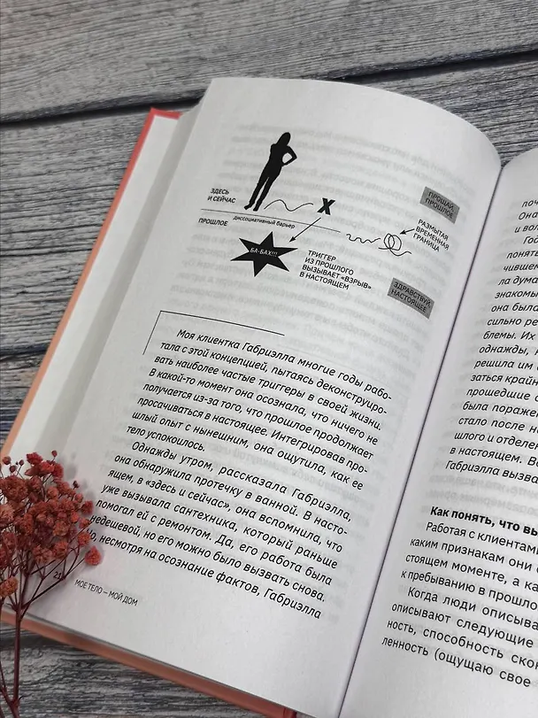 Книга МОЕ ТЕЛО – МОЙ ДОМ.  Телесная осознанность для исцеления травм и работы с разрушающими эмоциями (Дейдре Фэй) — 11