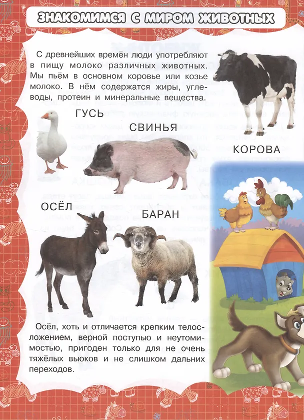 Книга Животные (Игорь Резько) — 3