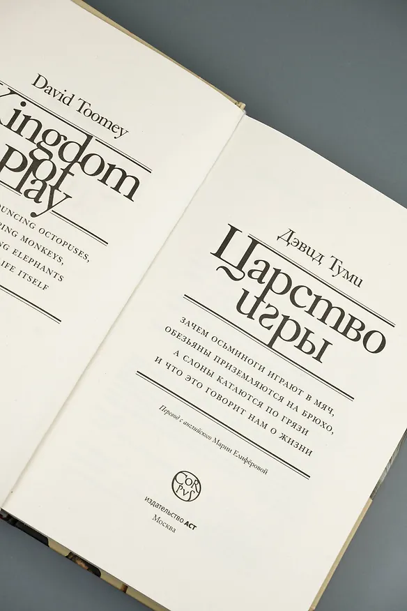 Книга Царство игры (Дэвид Туми) — 10