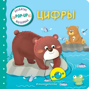 Книга Цифры ()