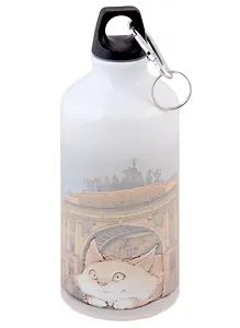 Бутылка с карабином СПб Кот и Арка главного штаба (металл) (500мл)