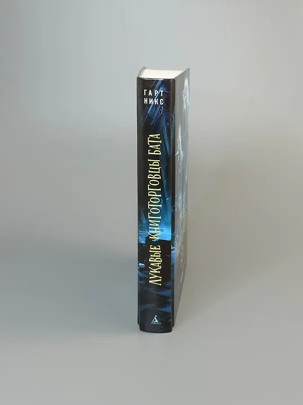 Книга Лукавые книготорговцы Бата (Гарт Никс) — 17