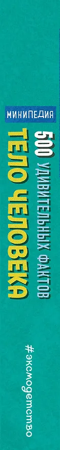 Книга Тело человека. 500 удивительных фактов (Руни Энн) — 3