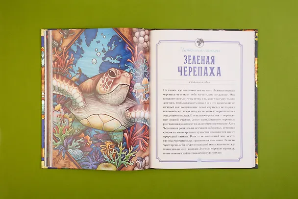 Книга Магический бестиарий. Вдохновляющие послания и ритуалы от 36 волшебных животных (+36 карт) (М. Толл) — 12