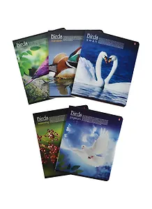 Тетрадь в клетку Альт, "Птицы New", 48 листов, в ассортименте