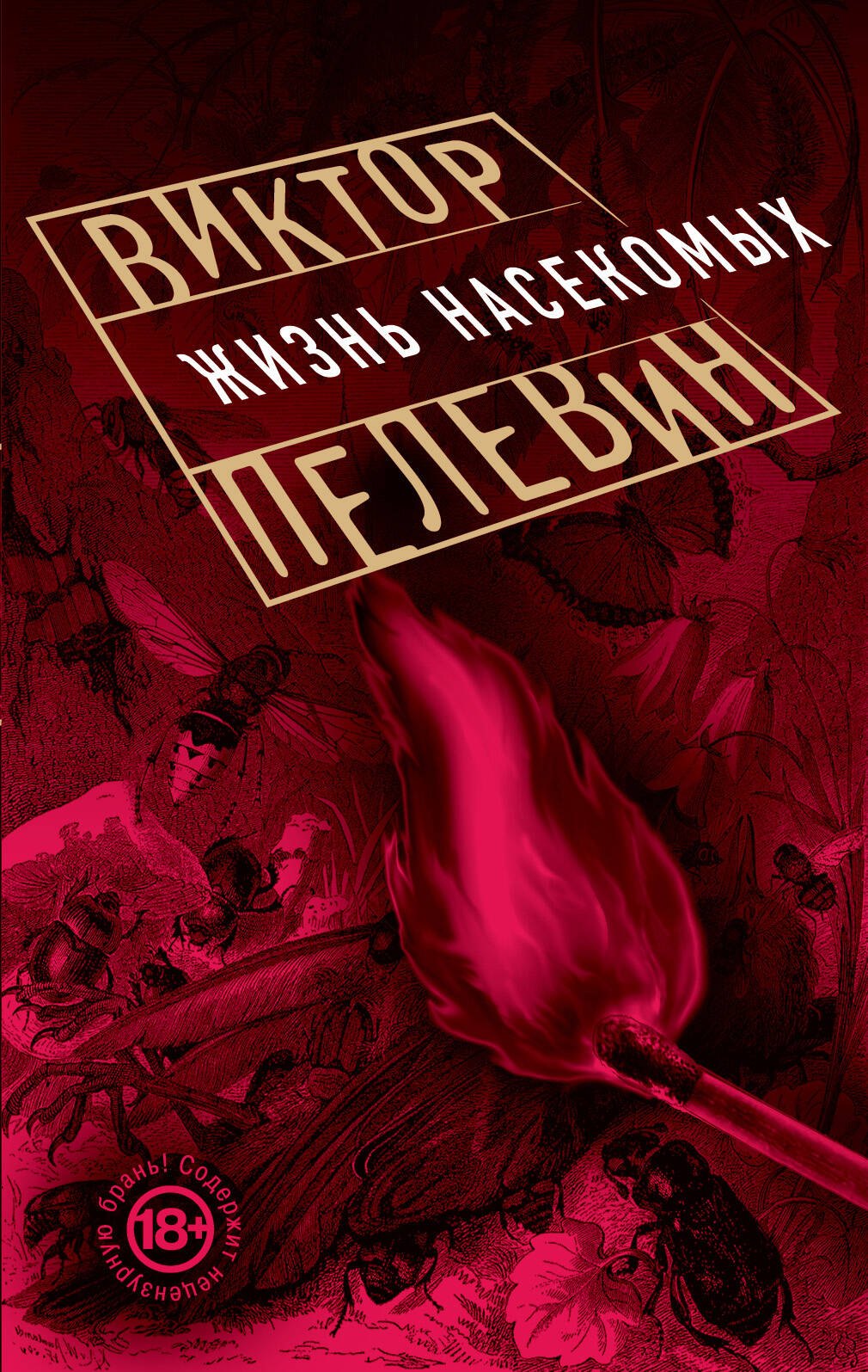 

Жизнь насекомых