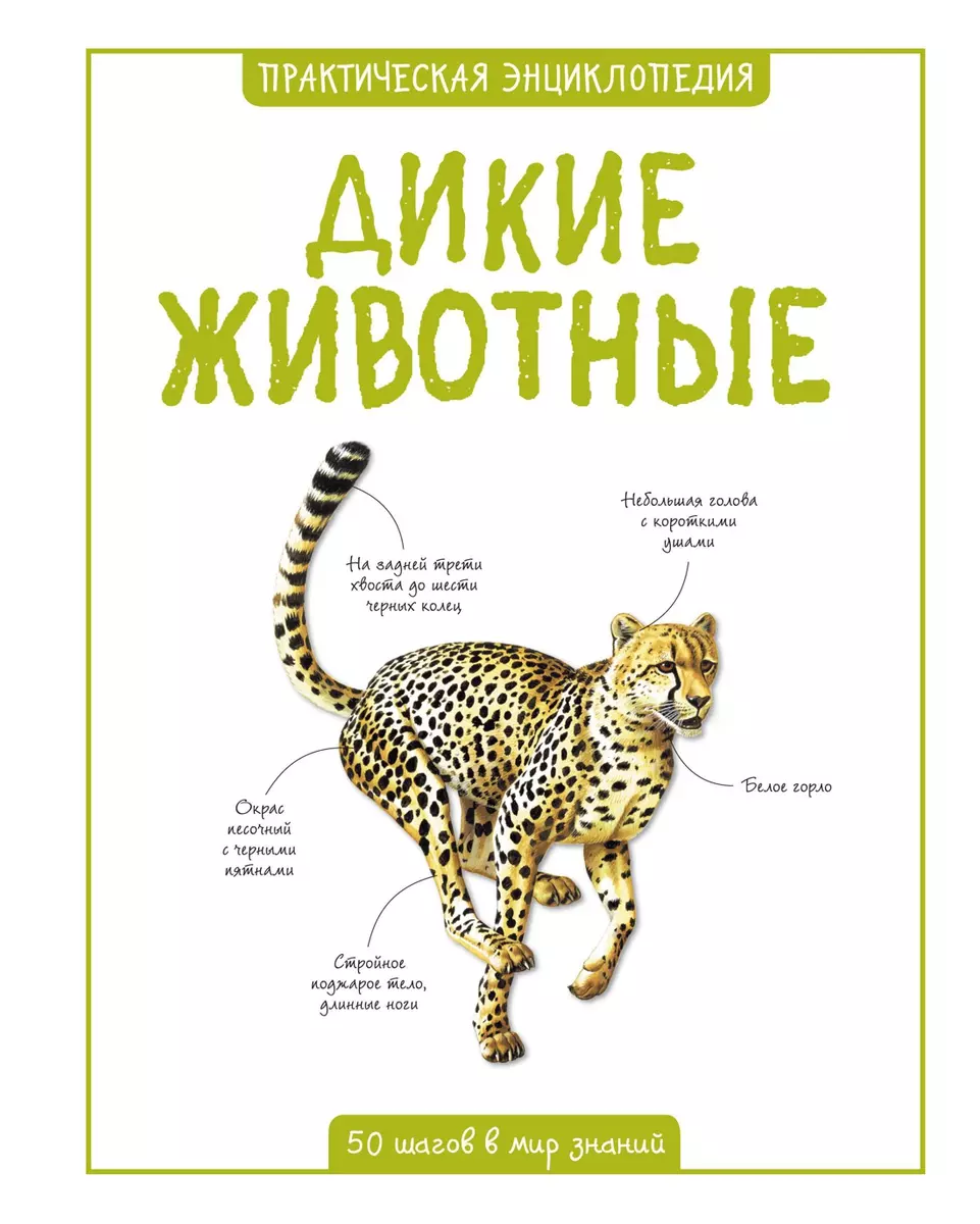 Дикие животные (Салли Морган) 📖 купить книгу по выгодной цене в  «Читай-город» ISBN: 978-5-389-08847-4