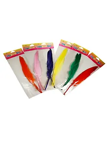 Набор перьев 2шт*25см в ассортименте