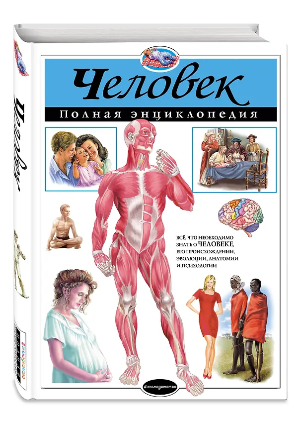 Книга Человек.Полная энциклопедия (Юлия Школьник) — 5