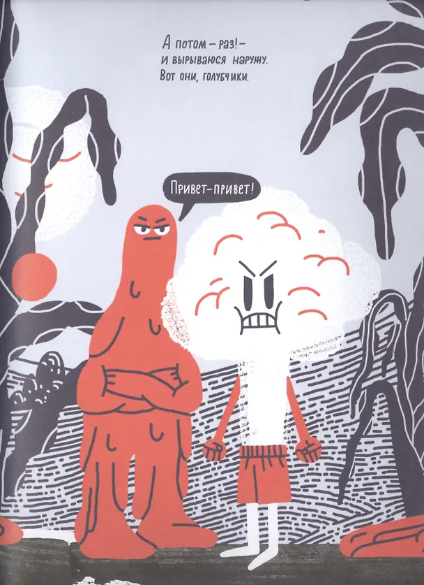 Книга Вулкан, который злился (Наташа Байдужа) — 3