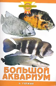 Большой аквариум