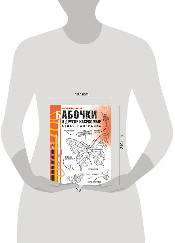 Книга Бабочки и другие насекомые (Сергей Быковский) — 8
