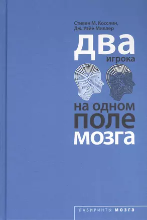 Два игрока на одном поле мозга — 2503817 — 1