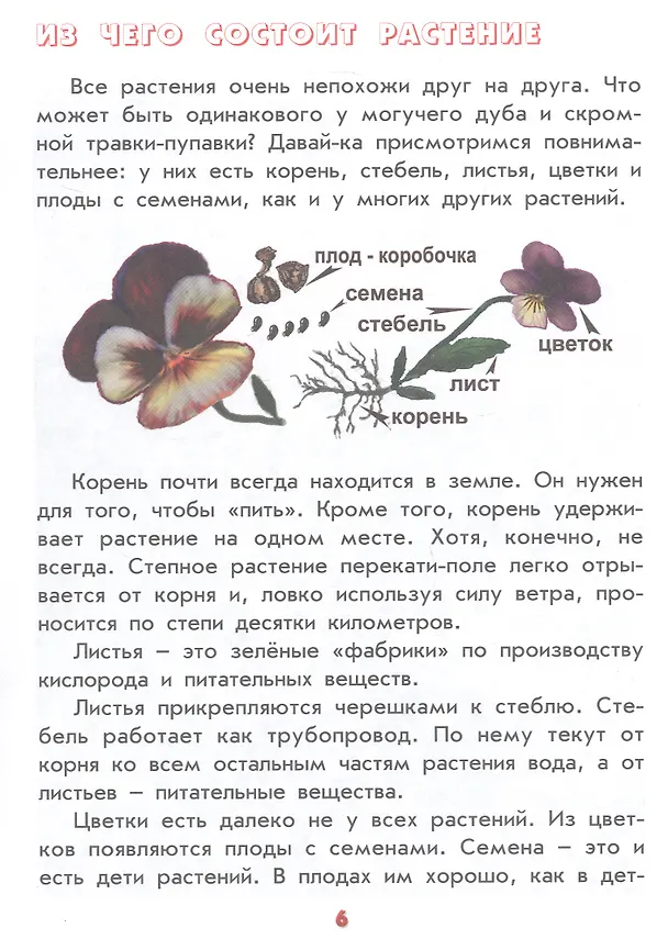 Книга Настоящая ботаника для мальчиков и девочек (А.В. Лукьянова) — 3