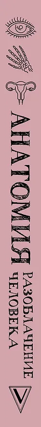 Книга Анатомия. Разоблачение человека (Андрей Шляхов) — 3