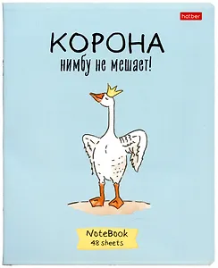Тетради в клетку Hatber, "Гусь-веселюсь", 48 листов, 5 штук