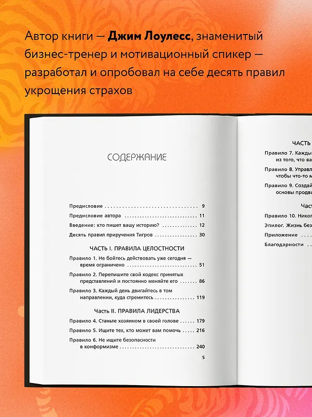 Книга Иди туда, где страшно. Именно там ты обретешь силу (Джим Лоулесс) — 7