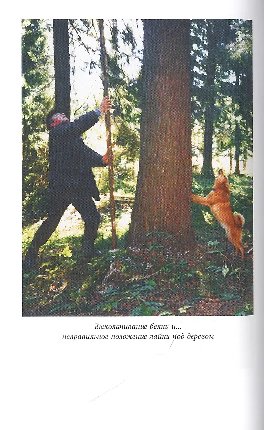 Книга Лайки и охота с ними (Лариса Гибет) — 6