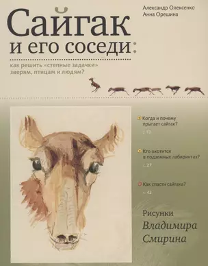 Сайгак и его соседи: как решить "степные задачи" зверям, птицам и людям? — 2899813 — 1