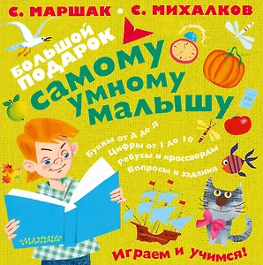 Большой подарок самому умному малышу(под/комплект)