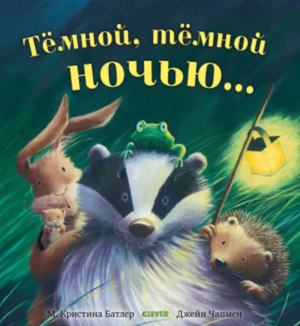 Книга Темной, темной ночью (Меган Батлер) — 1
