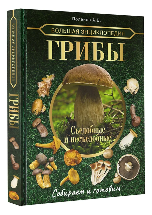 Книга Большая энциклопедия грибника. Съедобные и несъедобные. Собираем и готовим (Андрей Поленов) — 4
