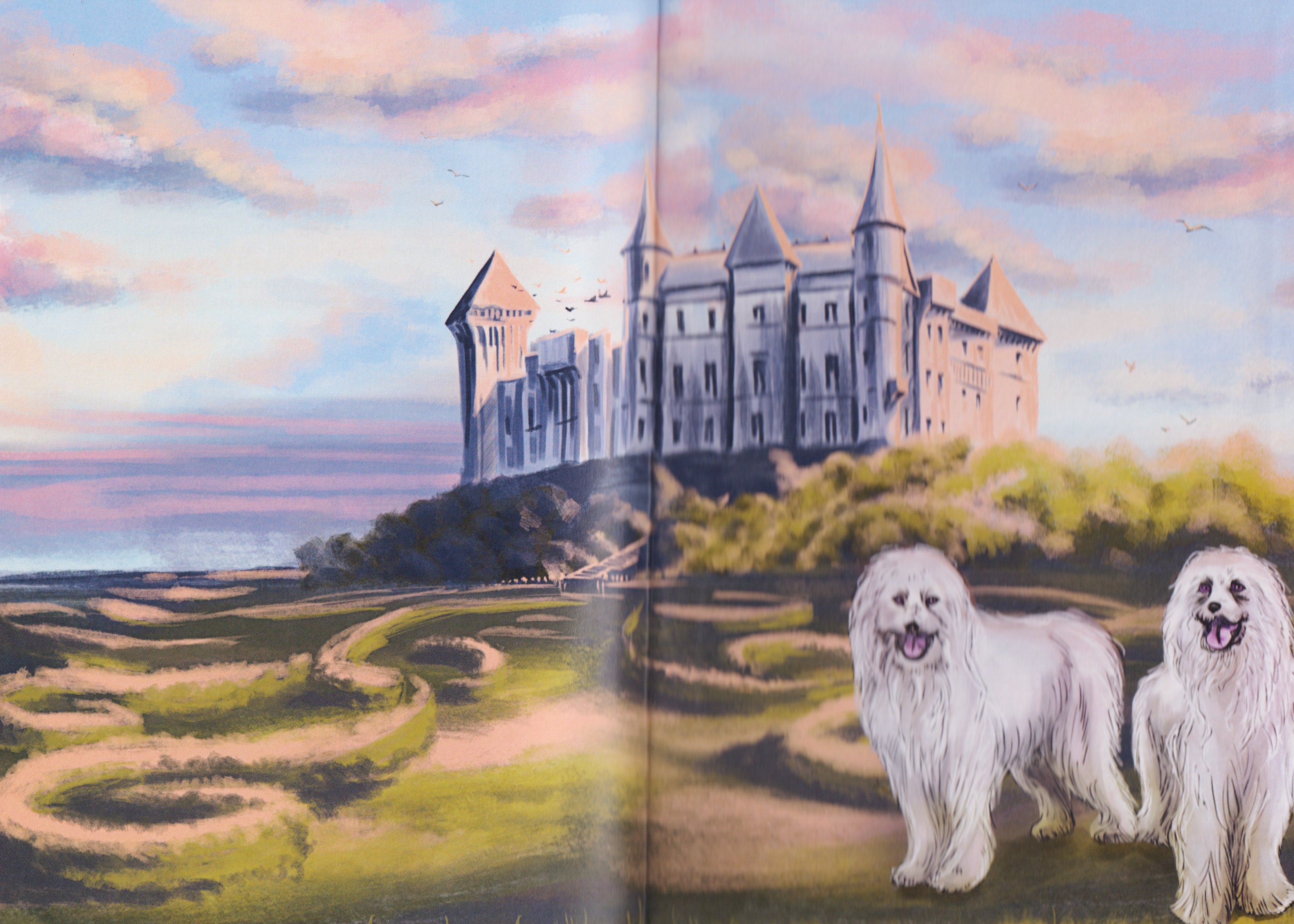 Изображение бумажной книги