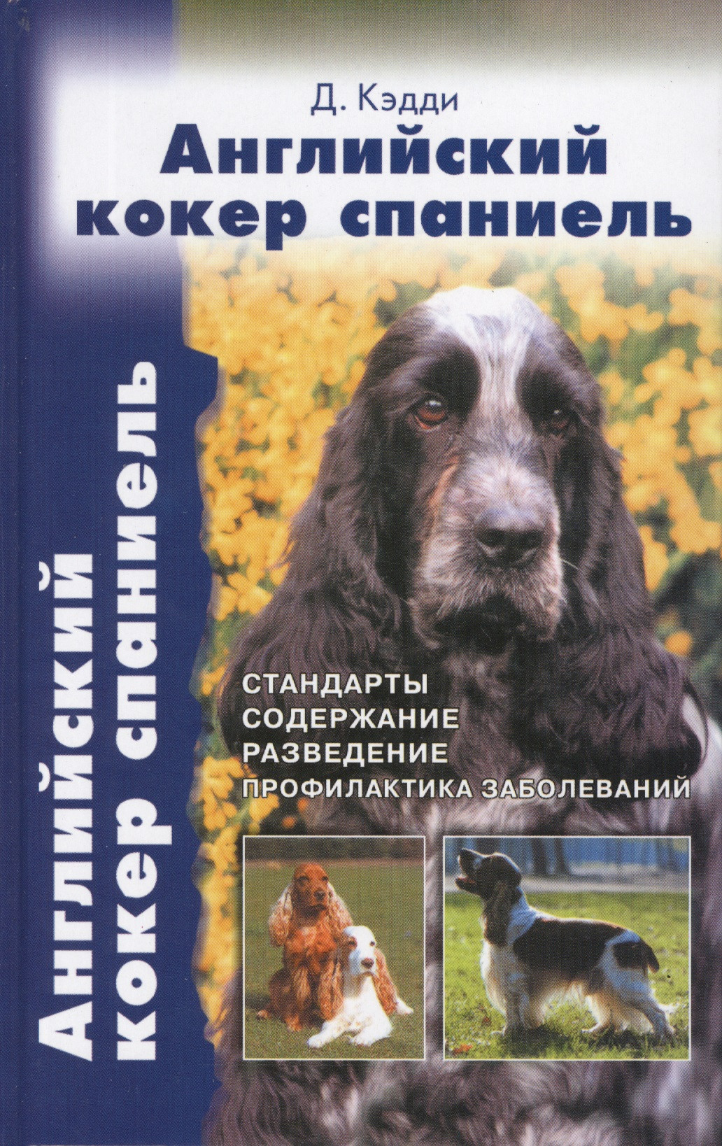 Английский кокер спаниель. Стандарты. Содержание. Разведение. Профилактика заболеваний.