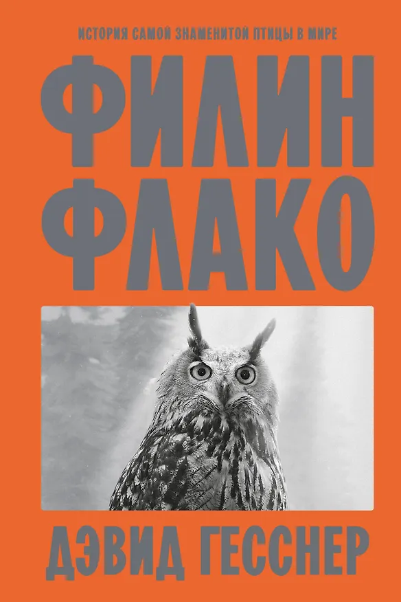 Книга Филин Флако: История самой знаменитой птицы в мире (Дэвид Гесснер) — 1