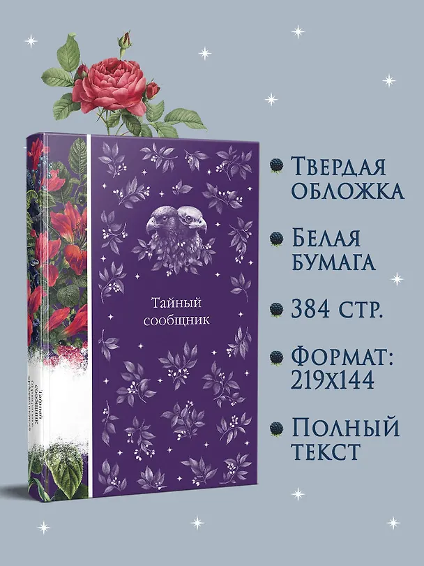 Книга Тайный сообщник. Сборник рассказов зарубежных писателей (Брэм Стокер, Эдгар По, Генри Джеймс) — 9