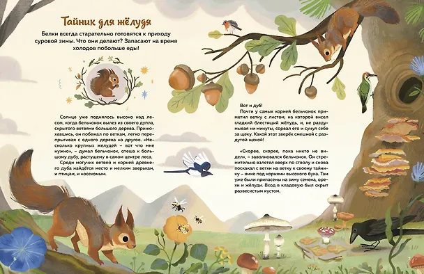 Книга Кто живёт в лесу? Иллюстрированный атлас животных (Алтея Вилла) — 14