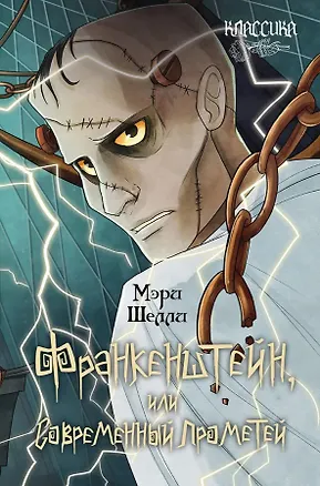 Книга Франкенштейн, или Современный Прометей. Роман (Мэри Шелли)