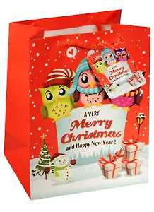 Пакет подарочный бумажный А4 26*32*12.5 "Совы. Новый год", Новый год, мат. ламинат, Kairui
