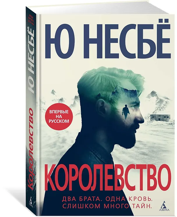 Книга Королевство (Ю Несбё) — 3