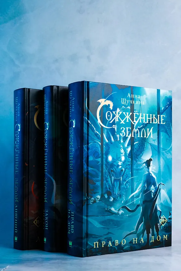 Книга Сожженные земли. Право на дом (Анна Щучкина) — 9