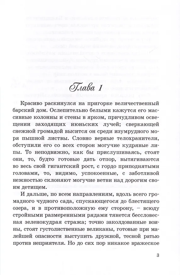 Книга Басурманка (Вера Новицкая) — 5