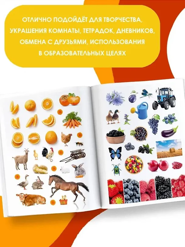 Книга На ферме () — 5