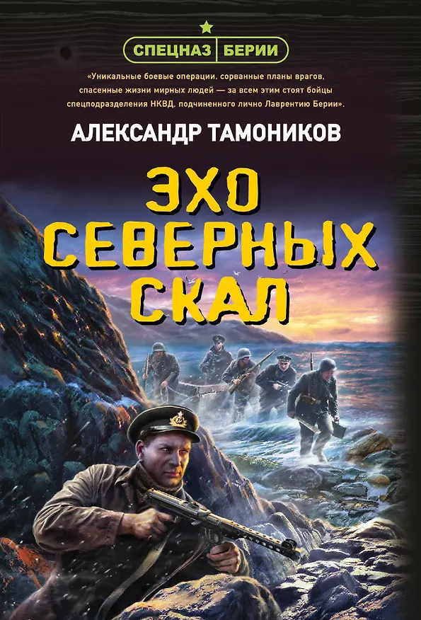 Книга Эхо северных скал (Александр Тамоников) — 1