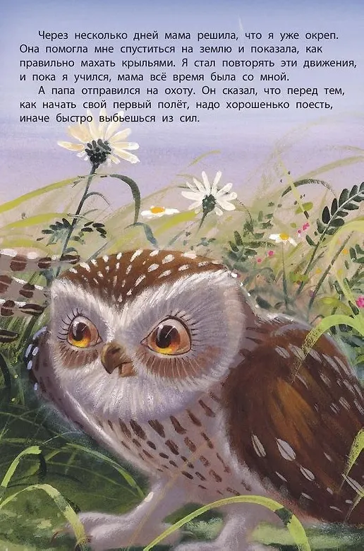 Книга Мама всегда рядом (Вероника Каплэн) — 8