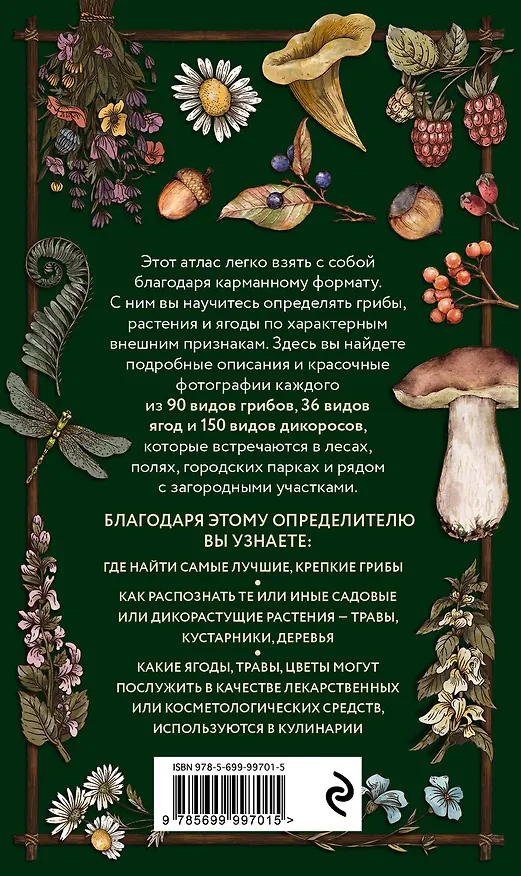 Книга Лесной гид: грибы, ягоды, травы. Карманный атлас-определитель (Людмила Семенова) — 2