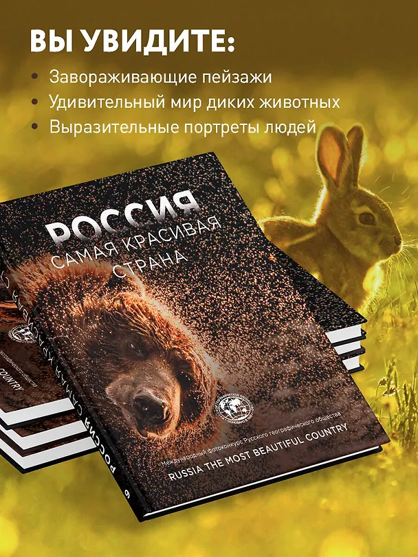 Книга Россия самая красивая страна. Фотоконкурс 2023 () — 6