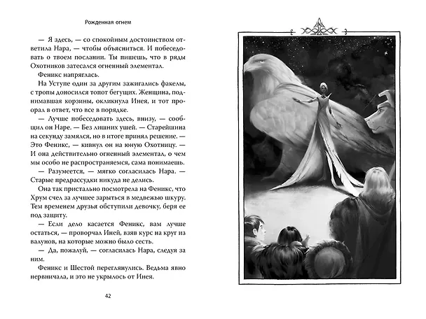 Книга Рожденная огнем. Книга 2. Феникс и ледяной дворец (Ашлин Фаулер) — 16