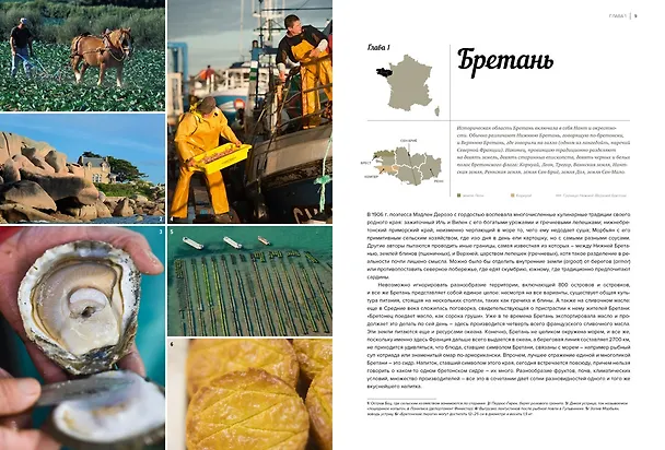 Книга Французская региональная кухня (Лоик Бьенасси, Жоэль Робюшон) — 6