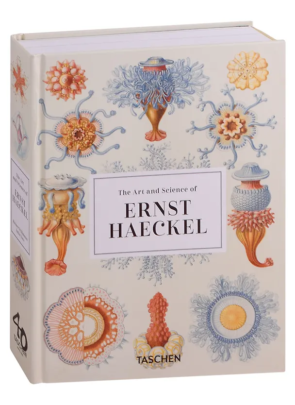 Книга The Art and Science of Ernst Haeckel.  40th Anniversary Edition (Райнер Уиллмен) — 1